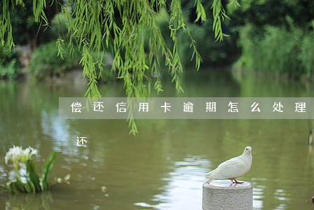 偿还信用卡逾期怎么处理(信用卡卡逾期怎么还)