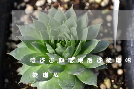 偿还逾期借呗后还能借吗(借呗逾期还款后还能借么)