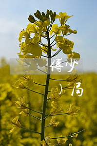 傅少離婚請簽字(小說傅少離婚吧結(jié)局)