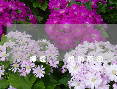 傅程鵬離婚的原因