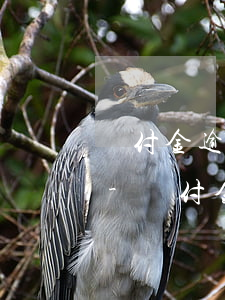 備付金逾期了4天還能恢復(fù)正常嗎-備付金逾期了4天還能恢復(fù)正常嗎怎么辦
