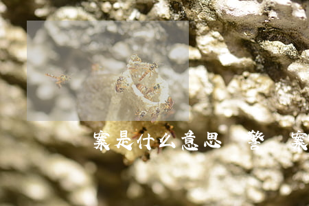 備案是什么意思(報警備案是什么意思)