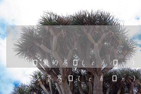 備案的房產(chǎn)法院還可以查封嗎(名下房產(chǎn)有沒(méi)有被法院查封查的到嗎)