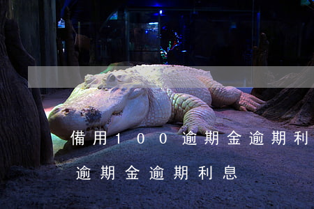 備用100逾期金逾期利息多少（備用100逾期金逾期利息）