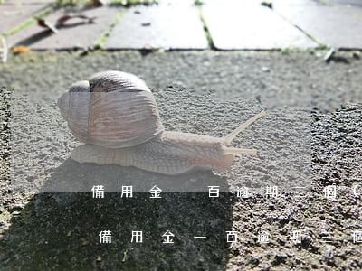備用金一百逾期三個(gè)月要還多少-備用金一百逾期三個(gè)月要還多少利息