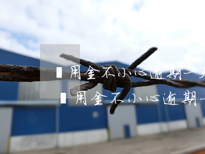 備用金不小心逾期一天怎么恢復(fù)-備用金不小心逾期一天怎么恢復(fù)使用