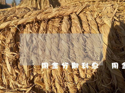 備用金分期利息(備用金分期利息高嗎)