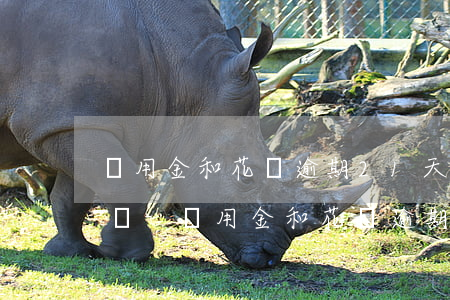 備用金和花唄逾期21天會(huì)怎么樣-備用金和花唄逾期21天會(huì)怎么樣呢