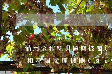 備用金和花唄逾期被關(guān)(備用金和花唄逾期被關(guān))