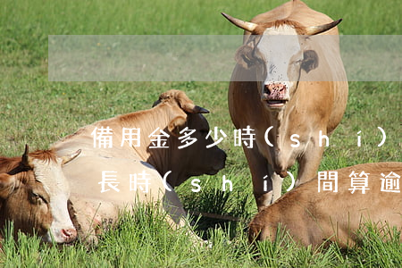 備用金多少時(shí)間算逾期(備用金多長時(shí)間算逾期)