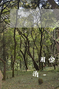 備用金夜里還款顯示有逾期未結(jié)清-備用金夜里還款顯示有逾期未結(jié)清怎么辦