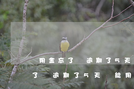 備用金忘了還逾期了5天還能用-備用金忘了還逾期了5天還能用嗎