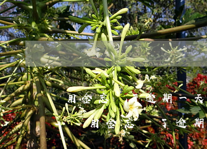 備用金忘記了逾期一天可以修復(fù)嗎-備用金忘記了逾期一天可以修復(fù)嗎怎么辦