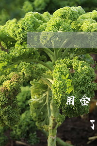 備用金忘記還了逾期一天影響嗎-備用金忘記還了逾期一天影響嗎怎么辦