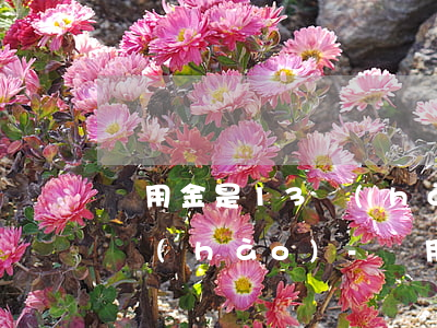 備用金是13號(hào)還逾期3天是幾號(hào)-備用金是13號(hào)還逾期3天是幾號(hào)還