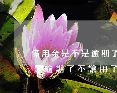 備用金是不是逾期了 不讓用了-備用金是不是逾期了 不讓用了呢