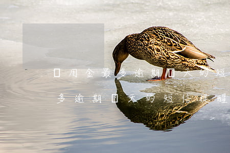備用金最多逾期幾天的短信提醒-備用金最多逾期幾天的短信提醒是真的嗎