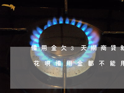 備用金欠3天網商貸就不能用了(網商貸逾期花唄備用金都不能用了)