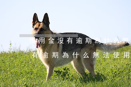 備用金沒有逾期為什么無法使用-備用金沒有逾期為什么無法使用多久恢復(fù)