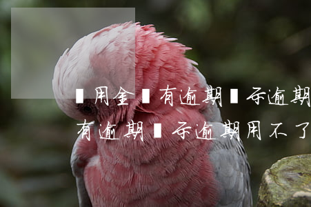 備用金沒有逾期顯示逾期用不了-備用金沒有逾期顯示逾期用不了怎么辦