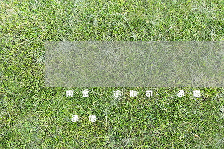 備用金無逾期可開通借唄嗎(備用金無逾期可開通借唄嗎)