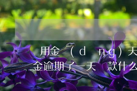備用金當(dāng)天還款算逾期嗎(備用金逾期了一天還款,什么時(shí)候可以再用?)