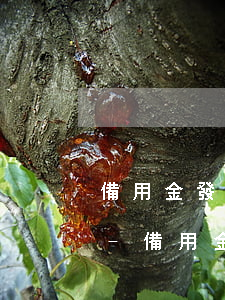 備用金發(fā)短信說還款還能逾期多久-備用金發(fā)短信說還款還能逾期多久呢