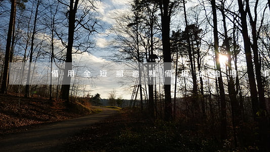 備用金短期逾期(備用金逾期沒事吧)