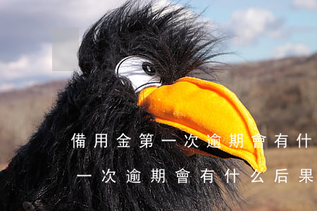 備用金第一次逾期會有什么后果-備用金第一次逾期會有什么后果嗎