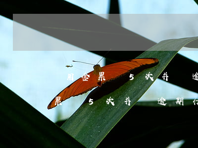 備用金累計5次并無逾期什么意思-備用金累計5次并無逾期什么意思啊