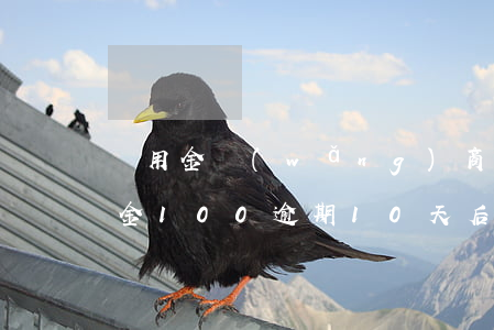 備用金網(wǎng)商貸逾期10天(備用金100逾期10天后果)
