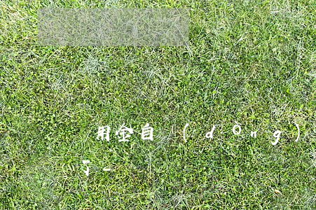 備用金自動(dòng)扣款成功后還逾期了-