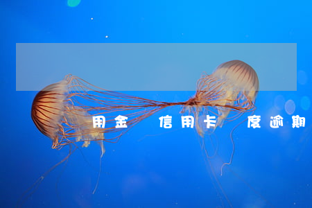 備用金與信用卡額度逾期 備用金逾期 征信
