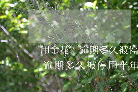 備用金花唄逾期多久被停用半年-備用金花唄逾期多久被停用半年后恢復(fù)