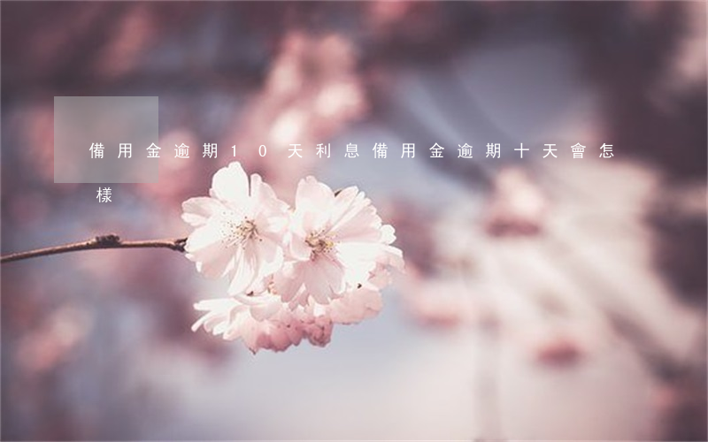 備用金逾期10天利息(備用金逾期十天會怎樣)