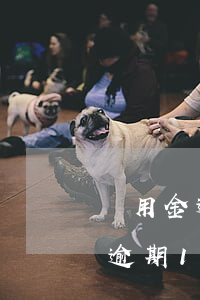 備用金逾期10天多久能正常使用-備用金逾期10天多久能正常使用呢