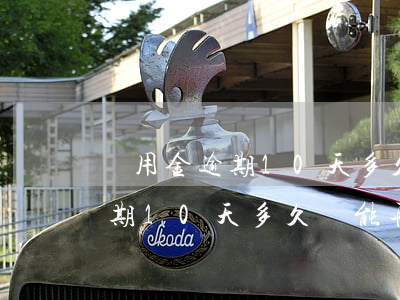 備用金逾期10天多久還能再用-備用金逾期10天多久還能再用啊