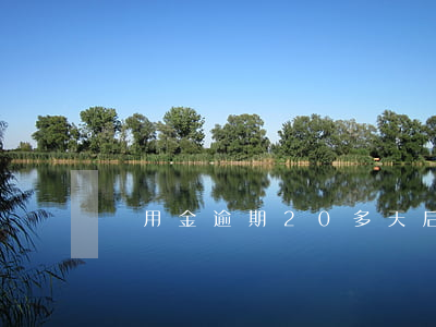 備用金逾期20多天后不能用了-