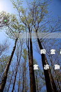 備用金逾期20天花唄凍結(jié)(備用金逾期十幾天還了以后花唄被關(guān)掉了)