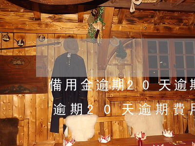 備用金逾期20天逾期費用是多少-備用金逾期20天逾期費用是多少錢