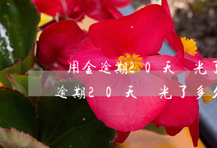 備用金逾期20天還光了多久能用-備用金逾期20天還光了多久能用啊