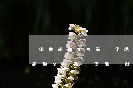 備用金逾期25天還了后還能用嘛-備用金逾期25天還了后還能用嘛