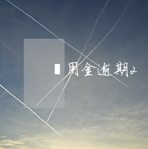 備用金逾期2個月會不會上征信啊