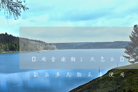 備用金逾期2天怎么還款(備用金逾期兩天還款后多久能正常使用)