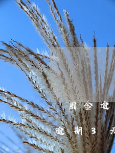 備用金逾期3天以后還了還能用嗎-備用金逾期3天以后還了還能用嗎
