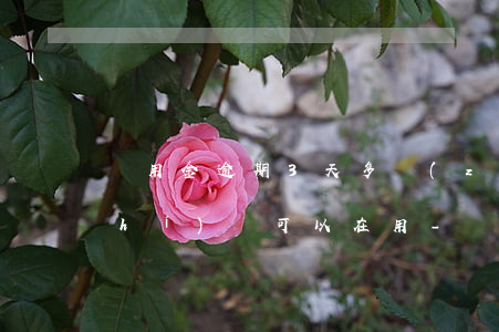 備用金逾期3天多長(zhǎng)時(shí)間可以在用-備用金逾期3天多長(zhǎng)時(shí)間可以在用啊