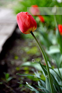 備用金逾期3月花唄被關(guān)多久能用-備用金逾期3月花唄被關(guān)多久能用啊