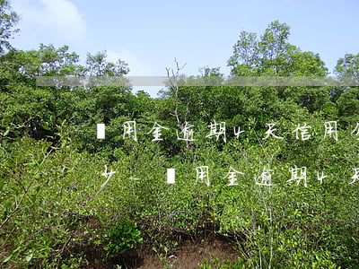 備用金逾期4天信用分會(huì)下降多少-備用金逾期4天信用分會(huì)下降多少額度