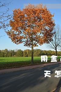 備用金逾期4天影響花唄(花唄備用金逾期了幾天怎么不能用花唄了)