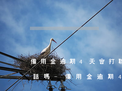 備用金逾期4天會打聯(lián)系人電話嗎-備用金逾期4天會打聯(lián)系人電話嗎怎么辦